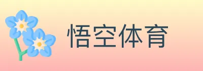悟空体育 logo